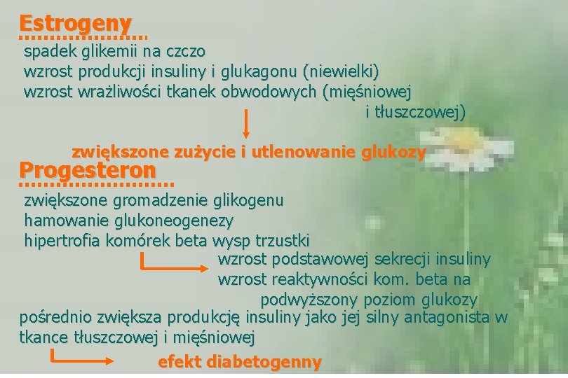 Estrogeny spadek glikemii na czczo wzrost produkcji insuliny i glukagonu (niewielki) wzrost wrażliwości tkanek