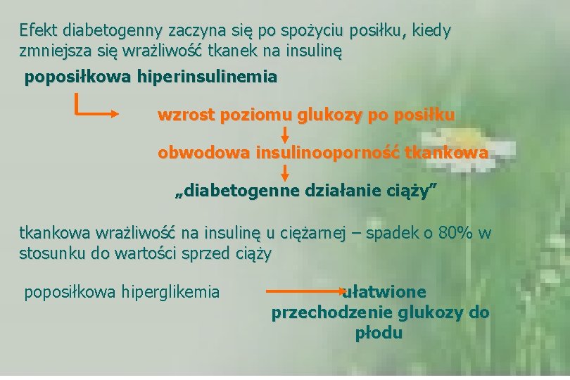Efekt diabetogenny zaczyna się po spożyciu posiłku, kiedy zmniejsza się wrażliwość tkanek na insulinę
