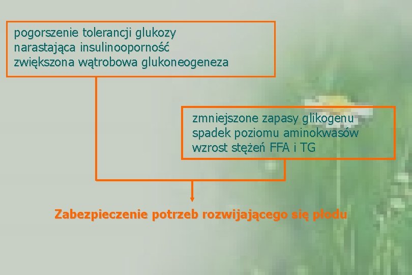 pogorszenie tolerancji glukozy narastająca insulinooporność zwiększona wątrobowa glukoneogeneza zmniejszone zapasy glikogenu spadek poziomu aminokwasów