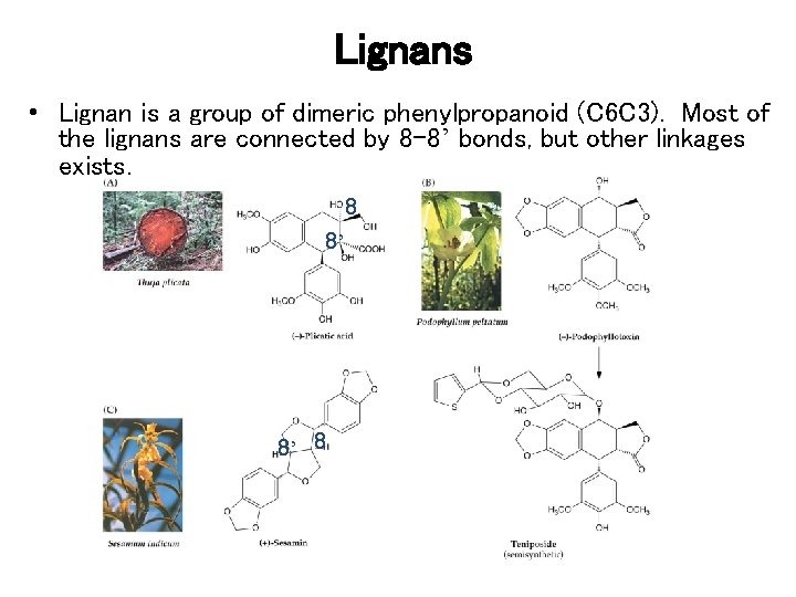 Lignans • Lignan is a group of dimeric phenylpropanoid (C 6 C 3). Most