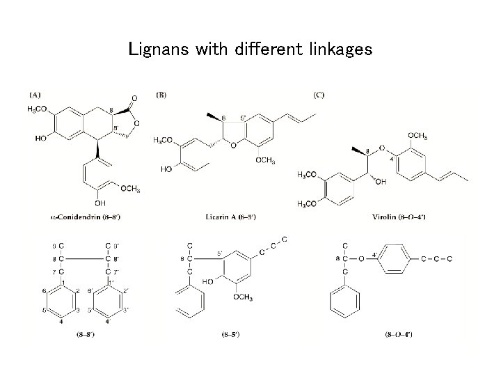 Lignans with different linkages 