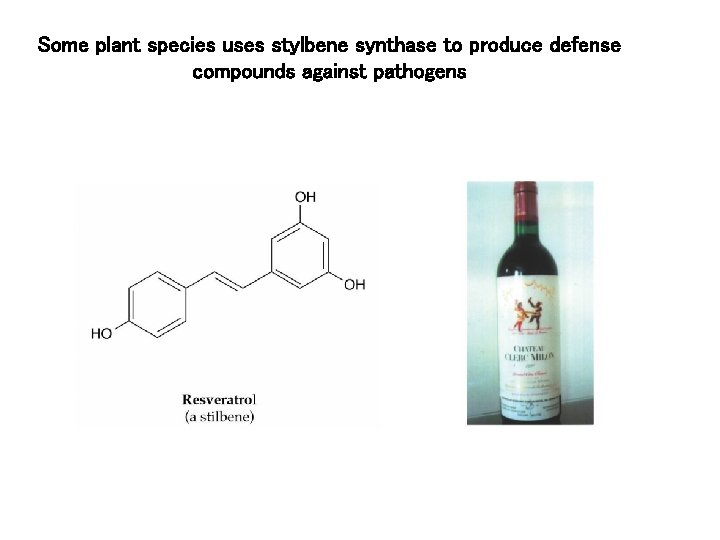 Some plant species uses stylbene synthase to produce defense compounds against pathogens 