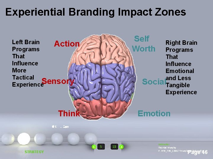 Experiential Branding Impact Zones Self Worth Left Brain Action Programs That Influence More Tactical