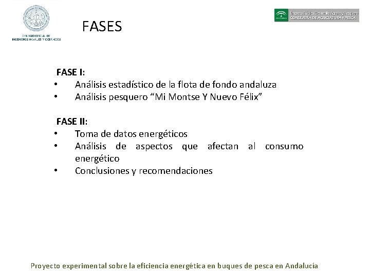 FASES FASE I: • Análisis estadístico de la flota de fondo andaluza • Análisis