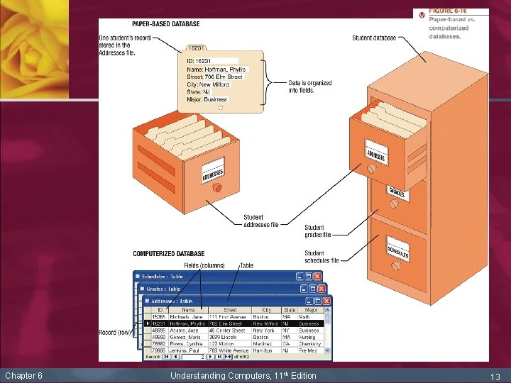 Chapter 6 Understanding Computers, 11 th Edition 13 