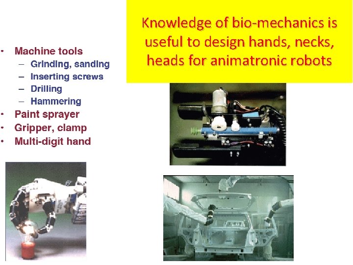 Knowledge of bio-mechanics is useful to design hands, necks, heads for animatronic robots 