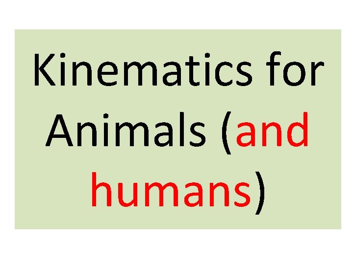 Kinematics for Animals (and humans) 