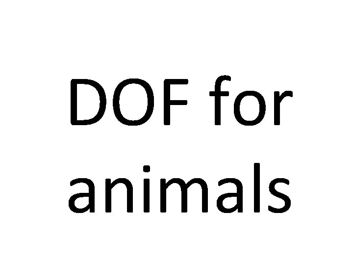 DOF for animals 