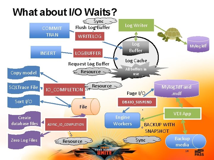 What about I/O Waits? COMMIT TRAN INSERT Copy model SQLTrace File Sort I/O Create