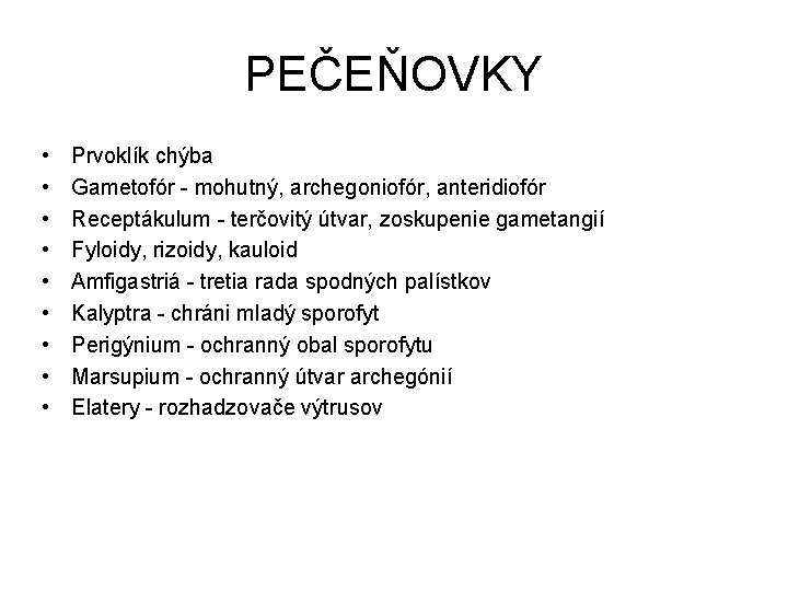 PEČEŇOVKY • • • Prvoklík chýba Gametofór - mohutný, archegoniofór, anteridiofór Receptákulum - terčovitý