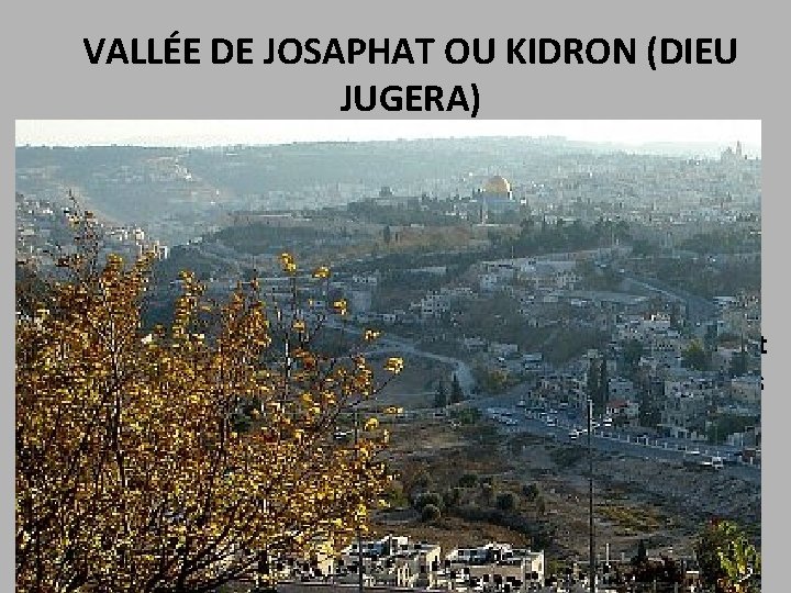 VALLÉE DE JOSAPHAT OU KIDRON (DIEU JUGERA) Joël 3: 2 Je rassemblerai toutes les