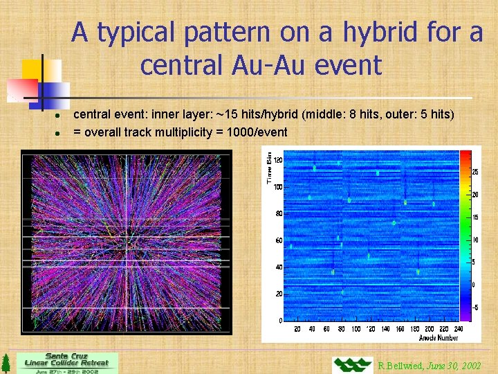 A typical pattern on a hybrid for a central Au-Au event l l central