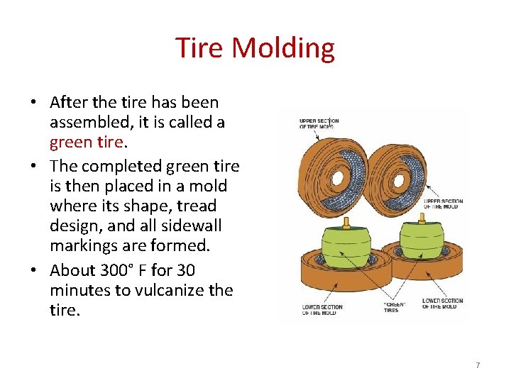 Tire Molding • After the tire has been assembled, it is called a green