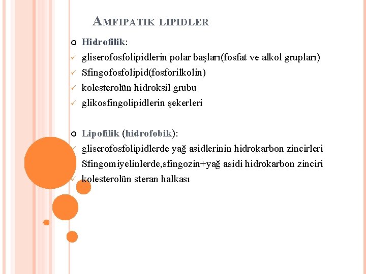 AMFIPATIK LIPIDLER Hidrofilik: gliserofosfolipidlerin polar başları(fosfat ve alkol grupları) Sfingofosfolipid(fosforilkolin) kolesterolün hidroksil grubu glikosfingolipidlerin