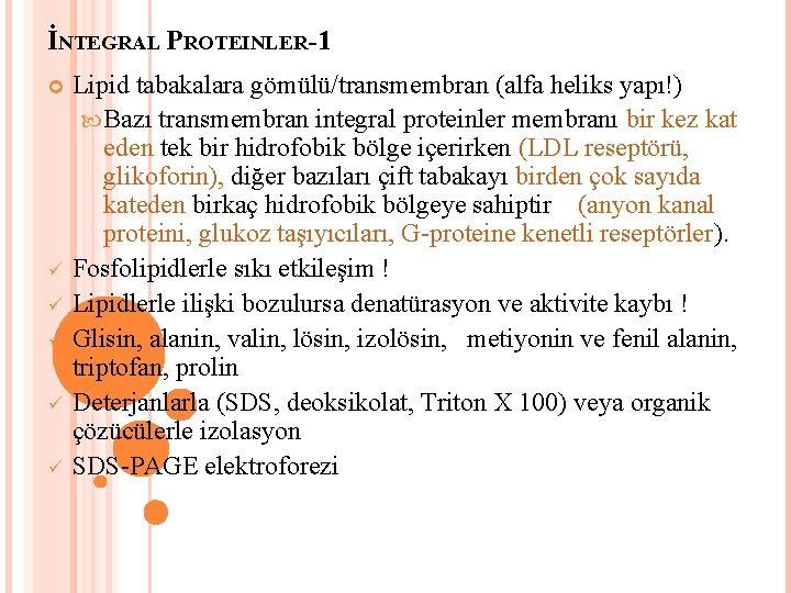 İNTEGRAL PROTEINLER-1 Lipid tabakalara gömülü/transmembran (alfa heliks yapı!) Bazı transmembran integral proteinler membranı bir