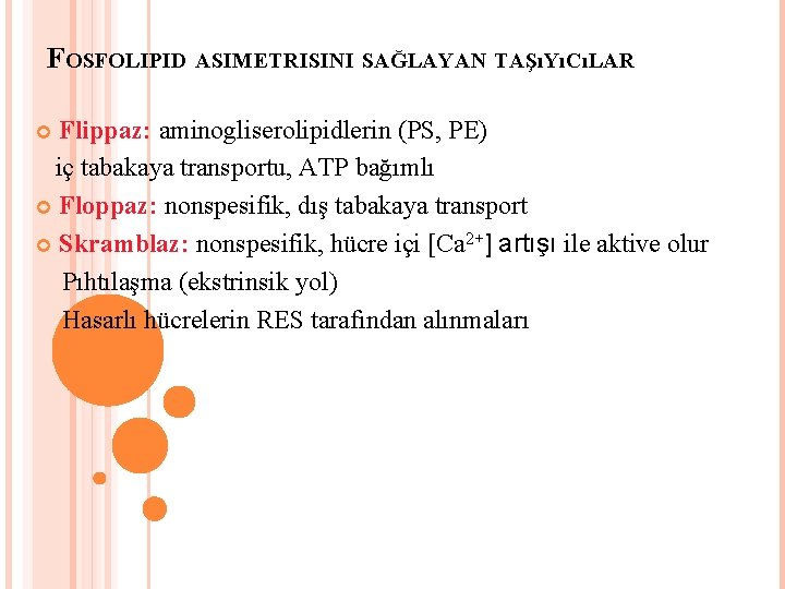 FOSFOLIPID ASIMETRISINI SAĞLAYAN TAŞıYıCıLAR Flippaz: aminogliserolipidlerin (PS, PE) iç tabakaya transportu, ATP bağımlı Floppaz: