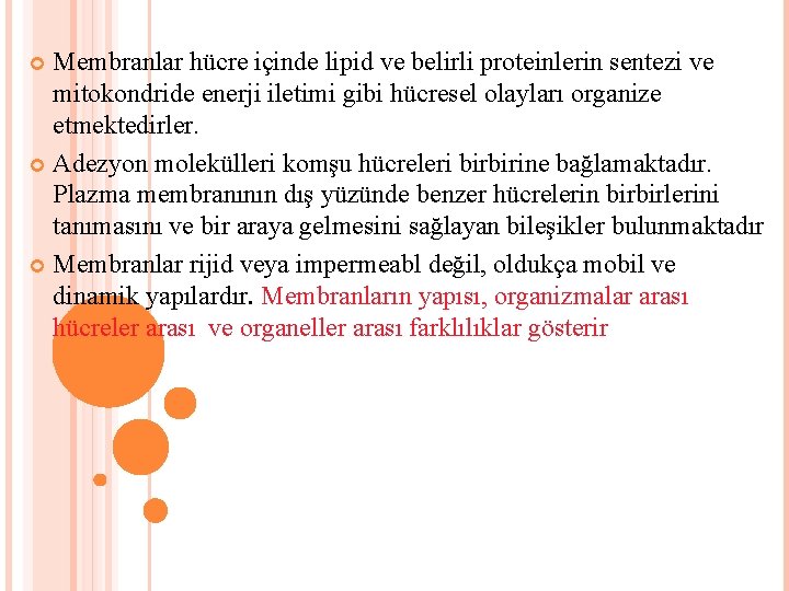 Membranlar hücre içinde lipid ve belirli proteinlerin sentezi ve mitokondride enerji iletimi gibi hücresel