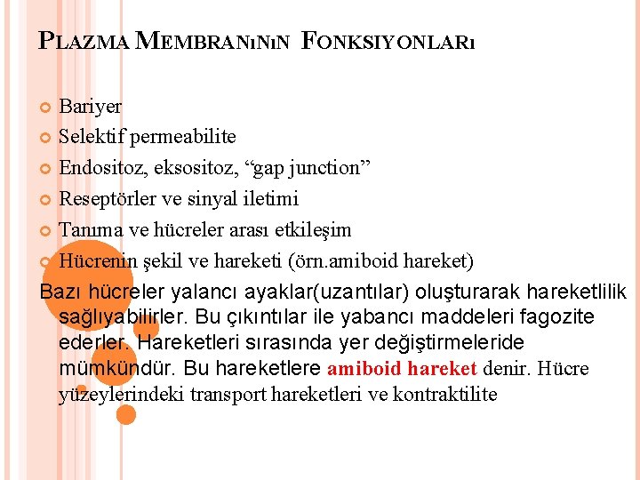 PLAZMA MEMBRANıNıN FONKSIYONLARı Bariyer Selektif permeabilite Endositoz, eksositoz, “gap junction” Reseptörler ve sinyal iletimi