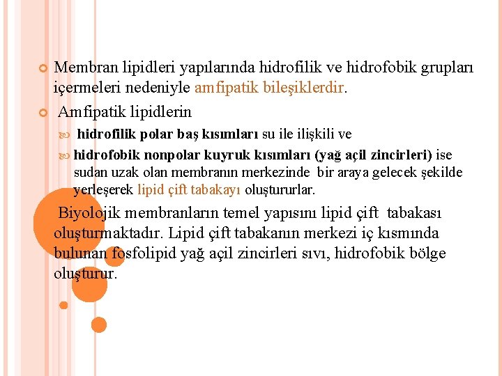 Membran lipidleri yapılarında hidrofilik ve hidrofobik grupları içermeleri nedeniyle amfipatik bileşiklerdir. Amfipatik lipidlerin hidrofilik