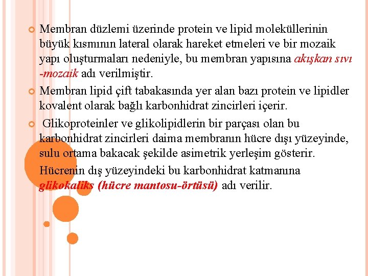 Membran düzlemi üzerinde protein ve lipid moleküllerinin büyük kısmının lateral olarak hareket etmeleri ve