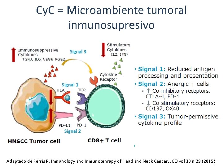 Cy. C = Microambiente tumoral inmunosupresivo Adaptado de Ferris R. Inmunology and Inmunotehrapy of Cy. C = Microambiente tumoral inmunosupresivo Adaptado de Ferris R. Inmunology and Inmunotehrapy of