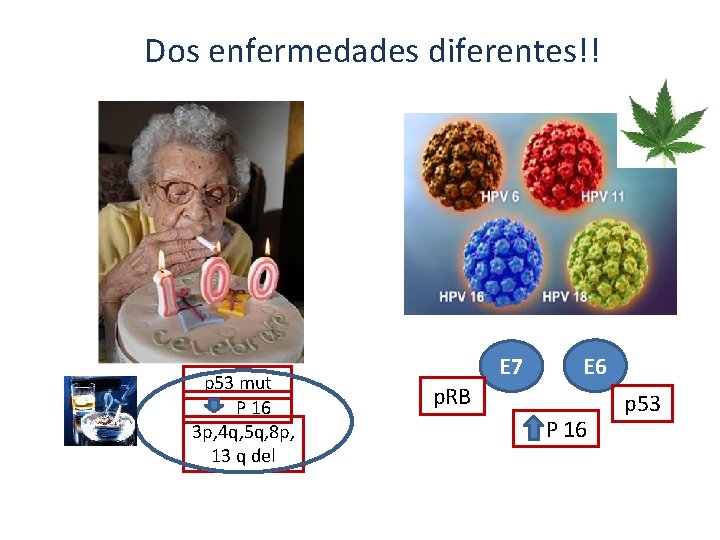 Dos enfermedades diferentes!! p 53 mut P 16 3 p, 4 q, 5 q, Dos enfermedades diferentes!! p 53 mut P 16 3 p, 4 q, 5 q,