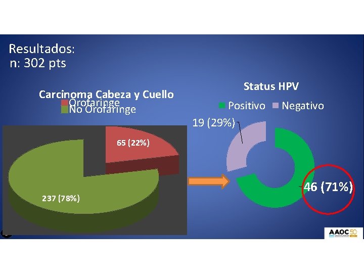 Resultados: n: 302 pts Carcinoma Cabeza y Cuello Orofaringe No Orofaringe Status HPV Positivo Resultados: n: 302 pts Carcinoma Cabeza y Cuello Orofaringe No Orofaringe Status HPV Positivo