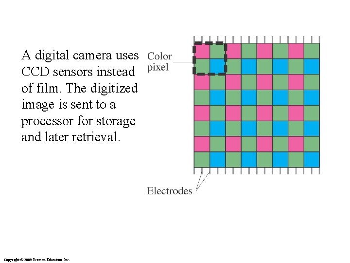 A digital camera uses CCD sensors instead of film. The digitized image is sent