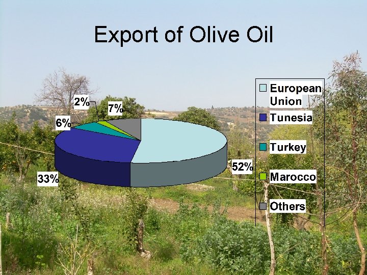 Export of Olive Oil 