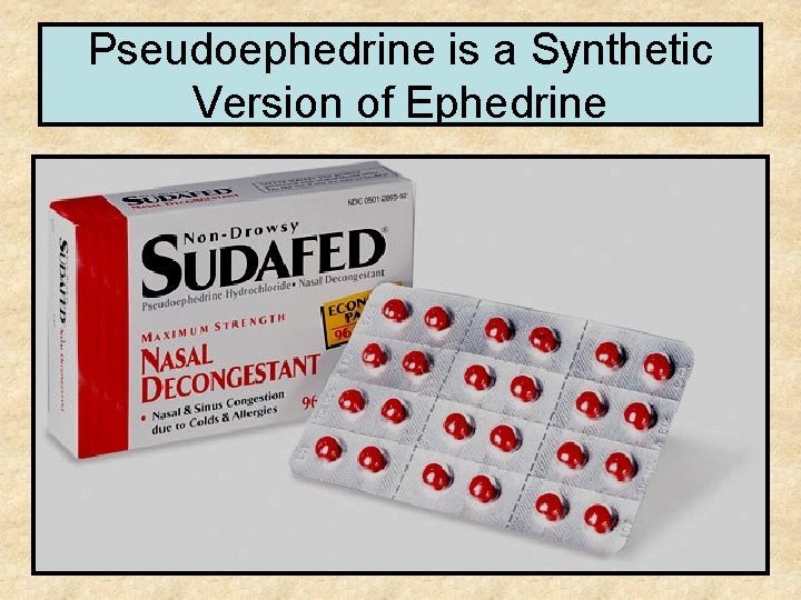 Pseudoephedrine is a Synthetic Version of Ephedrine 