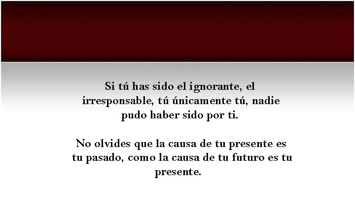 Si tú has sido el ignorante, el irresponsable, tú únicamente tú, nadie pudo haber