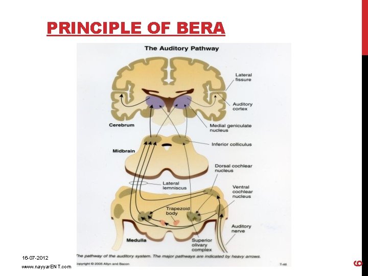 16 -07 -2012 www. nayyar. ENT. com 6 PRINCIPLE OF BERA 