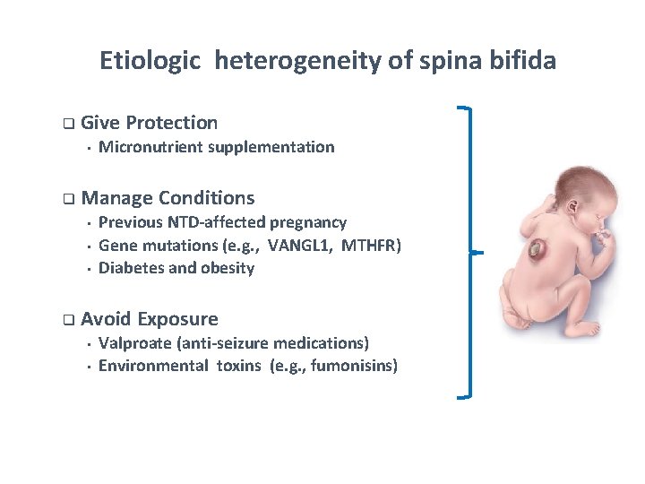 Etiologic heterogeneity of spina bifida q Give Protection • q Manage Conditions • •