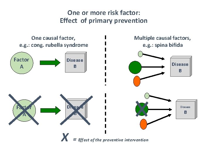 One or more risk factor: Effect of primary prevention One causal factor, e. g.