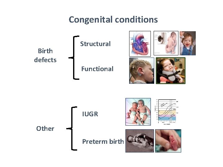 Congenital conditions Birth defects Structural Functional IUGR Other Preterm birth 
