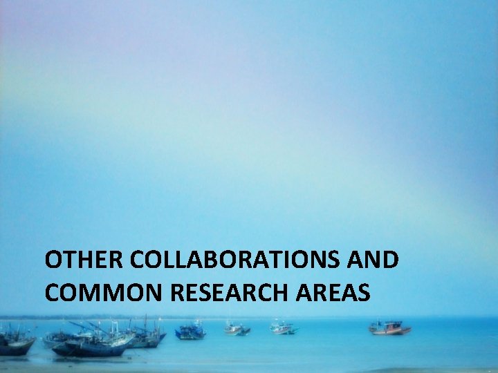 OTHER COLLABORATIONS AND COMMON RESEARCH AREAS 