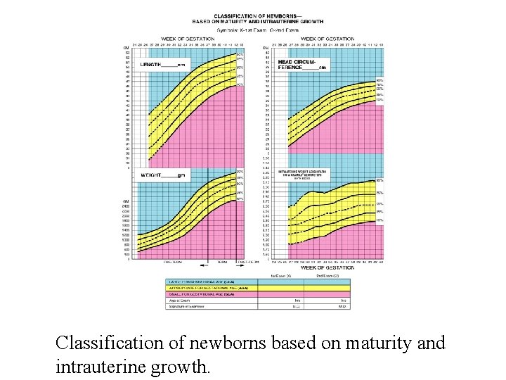 Classification of newborns based on maturity and intrauterine growth. 