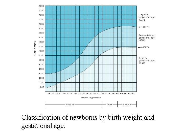 Classification of newborns by birth weight and gestational age. 
