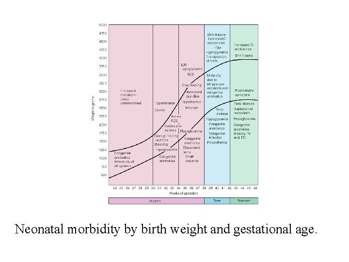 Neonatal morbidity by birth weight and gestational age. 