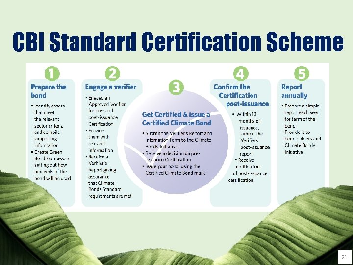 CBI Standard Certification Scheme 21 