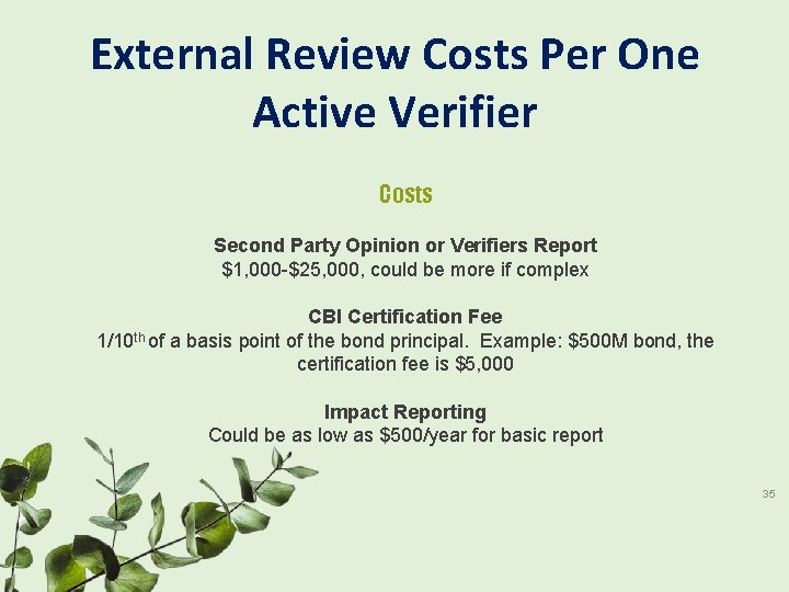 External Review Costs Per One Active Verifier Costs Second Party Opinion or Verifiers Report