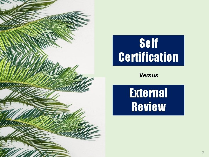 Self Certification Versus External Review 7 