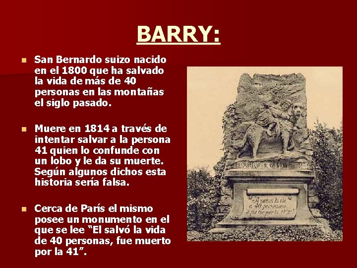 BARRY: n San Bernardo suizo nacido en el 1800 que ha salvado la vida