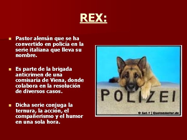 REX: n Pastor alemán que se ha convertido en policía en la serie italiana
