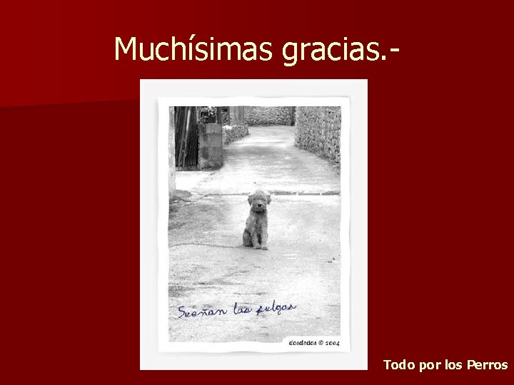 Muchísimas gracias. - Todo por los Perros 