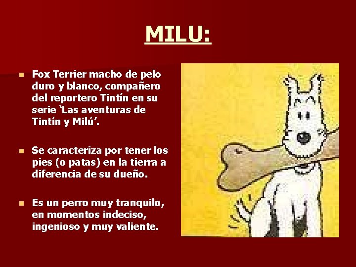 MILU: n Fox Terrier macho de pelo duro y blanco, compañero del reportero Tintín