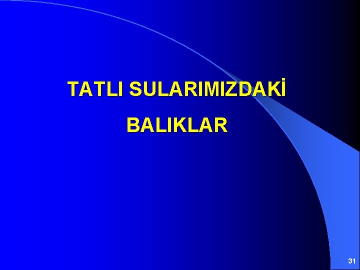 TATLI SULARIMIZDAKİ BALIKLAR 31 