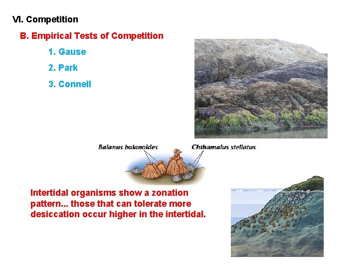 VI. Competition B. Empirical Tests of Competition 1. Gause 2. Park 3. Connell Intertidal