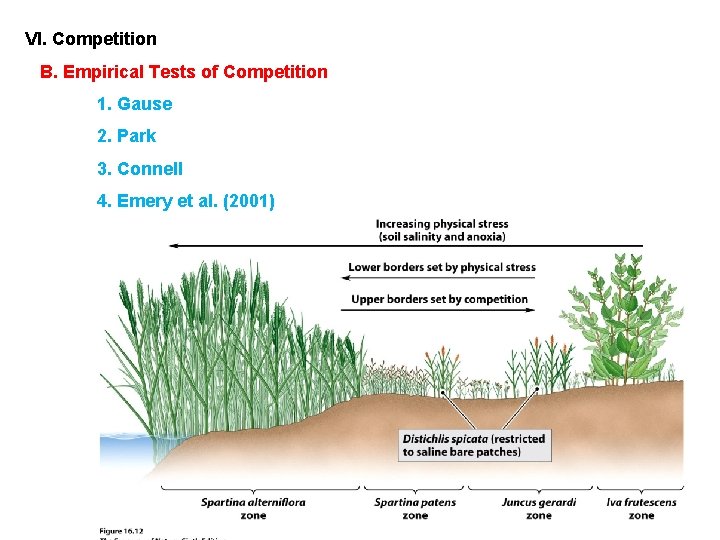 VI. Competition B. Empirical Tests of Competition 1. Gause 2. Park 3. Connell 4.