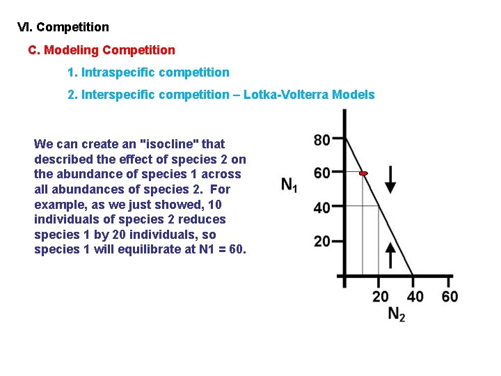 VI. Competition C. Modeling Competition 1. Intraspecific competition 2. Interspecific competition – Lotka-Volterra Models